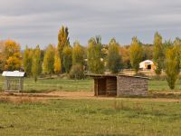 Pré et abris pour cheval en pension