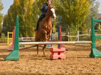 Carrière équipée d'obstacle