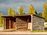 Abris pour chevaux au pré