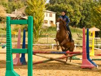 Aurélie Soulat: cavalière Galop 7