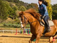 Aurélie Soulat: cavalière Galop 7