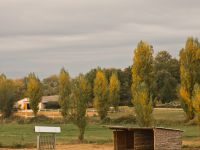 Abris pour les chevaux en pension