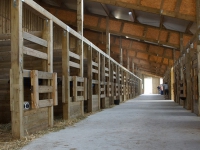 DM-ecuries-des-moulin-20131026049.jpg