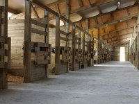 DM-ecuries-des-moulin-20131026058.jpg